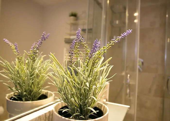 Appartement Cola Di Rienzo A E B Rome